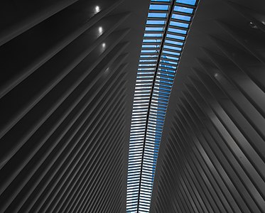 One World Trade Center through the Oculus (91538)