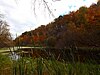 The '''Onondaga Escarpment''' runs through Clarence in a roughly east-to-west direction; outcroppings of flint like those seen here were used by the local Indians to make arrowheads and were quarried by early townspeople. This photo was taken at the '''Escarpment Sanctuary''', which is described later on in this article.