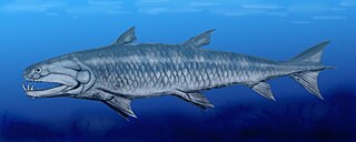 Onychodontiformes Extinct order of fishes