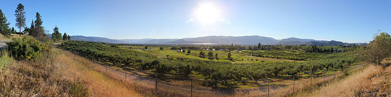 File:Orchard greens and the lake - Kelowna-24x96.jpg