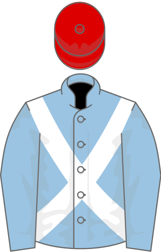 <span class="mw-page-title-main">1991 Grand National</span>