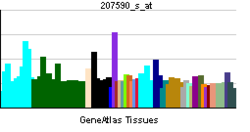 PBB GE CENPI 207590 s ĉe tn.png