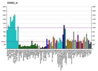 SSR2 protein-coding gene in the species Homo sapiens