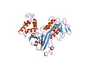 PDB 1gnd EBI.jpg