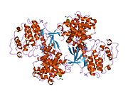 1ol2: مهارکننده شیار اتصال سیکلین A H-ARG-ARG-LEU-ASN-(P-F-PHE)-NH2