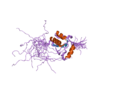 Thumbnail for Terminal deoxynucleotidyl transferase