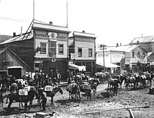 Packtrain in Dawson, 1899 (photographed by Eric A. Hegg) Packtrain carrying freight outside of the Bartlett Bros offices, Dawson, Yukon territory, 1899 (HEGG 624).jpeg