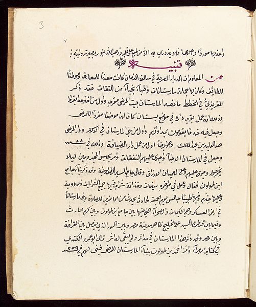 File:Page from an Arabic Text Wellcome L0033688.jpg