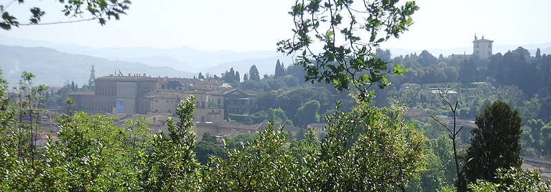 File:Palazzo di San Francesco di Paola, vista 03 palazzo pitti e forte di belvedere.JPG