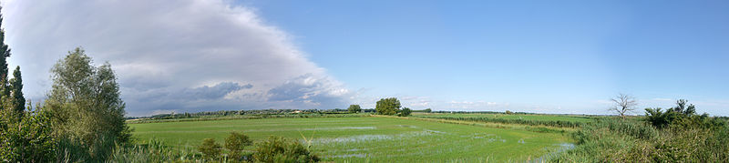 File:Panorama Petite Camargue printemps - Ciel d'orage.jpg