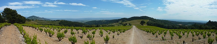 Panorama sur le vignoble à l'intérieur des Dentelles de Montmirail.