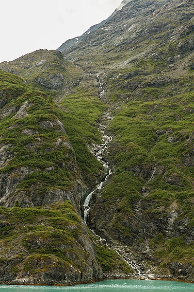 File:Parque Nacional Bahía del Glaciar, Alaska, Estados Unidos, 2017-08-19, DD 110.jpg