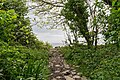 * Nomination Small stony path leading to the beach at Dams Bay --BigDom 05:53, 15 May 2023 (UTC) * Withdrawn There is some chromatic aberration on the branches --FlocciNivis 17:42, 23 May 2023 (UTC) Thanks for the review. I don't seem to be able to fix it ("remove chromatic aberrations" in LR is already applied, and the defringe tool doesn't recognise that shade as being within its fixable range) so I will withdraw.  I withdraw my nomination BigDom 07:37, 24 May 2023 (UTC)