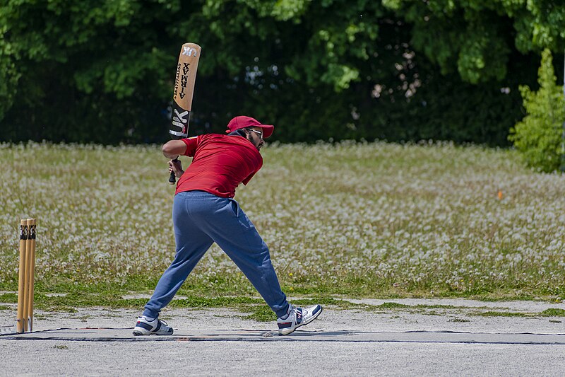 File:People playing cricket in Toronto 25.jpg