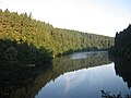 Etappe 3: Blick vom Eifelsteig auf die Perlenbachtalsperre