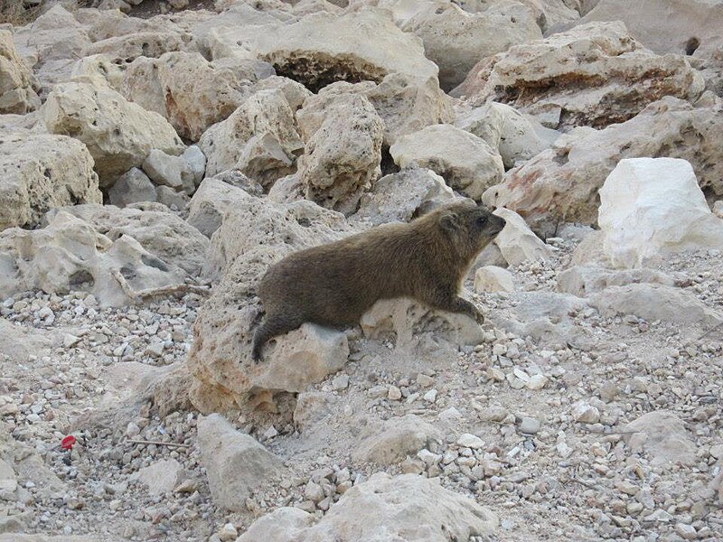 File:PikiWiki Israel 32337 rosh hanikra.jpg