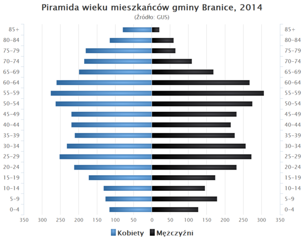 Piramida wieku Gmina Branice.png