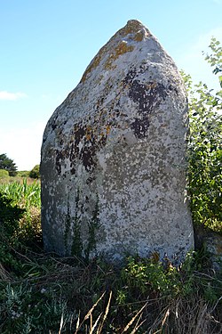 Image illustrative de l’article Menhir de Lanvenael