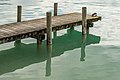 English: Resting mallard on a jetty Deutsch: Ruhende Stockente auf einem Bootslandesteg
