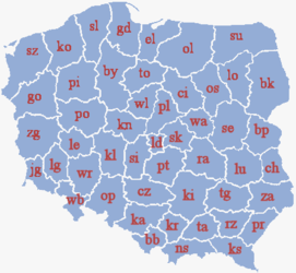 1975-1998年