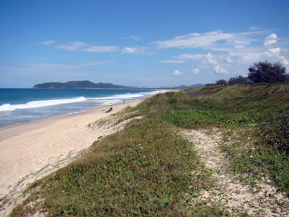 Mozambique Beach Wikipedia