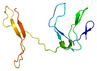 <span class="mw-page-title-main">RELB</span> Protein-coding gene in the species Homo sapiens