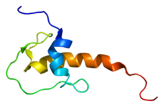 <span class="mw-page-title-main">LEKTI</span> Protein-coding gene in the species Homo sapiens