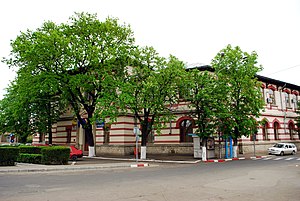 Bogdan Petriceicu Hasdeu National College