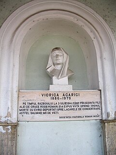 Viorica Agarici