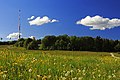 * Nomination: Raichberg mountain (Swabian Alb, 956m) close to Albstadt-Onstmettingen, Germany, in summer season --R-bitzer 07:53, 29 August 2014 (UTC) * Review Tilted, magenta CA, oversaturated, sky noisy. Can eventually get fixed. --Cccefalon 08:20, 29 August 2014 (UTC)