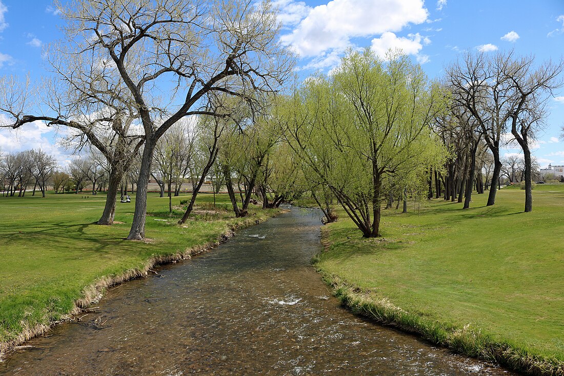 Arroyo Rapid