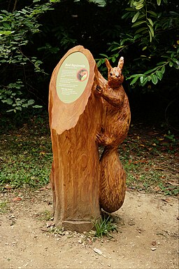 Red Squirrel Carving at Osborne House (14947238072)