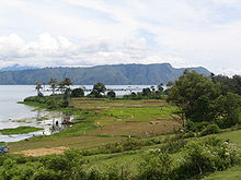 Reisfeld und Fischfarm auf Samosir im Tobasee