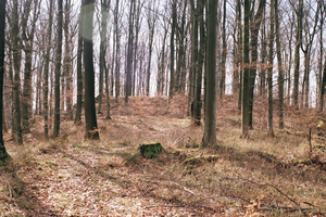 View from the northeast of the Schildwall, on the left is the entrance to the race castle