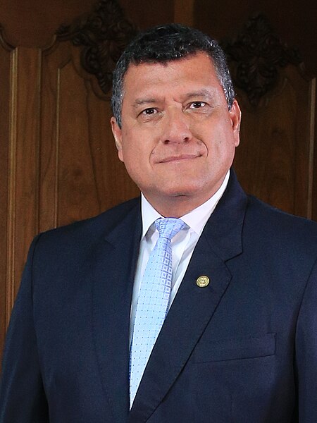 Archivo:Retrato Oficial de Vicepresidente César Guillermo Castillo Reyes (cropped 2).jpg