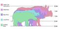 Rhinosizes.png