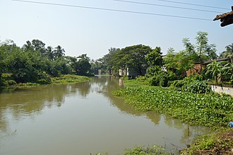 River Kaushiki (Kana-Damodar), Jagatballavpur, Howrah River Kaushiki - Kana-Damodar - Jagatballavpur - Howrah 2014-09-28 8253.JPG