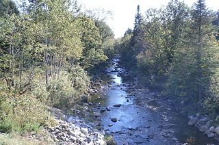 Blanche River (Felton River tributary) River in Estrie, Quebec (Canada)