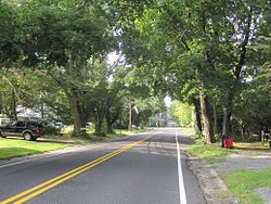 Rochdale Avenue through Roosevelt