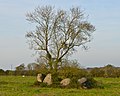 Overblijfsel van Dolmen de la Salle aux Fées