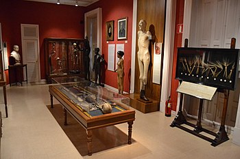 Nationaal museum voor antropologie An