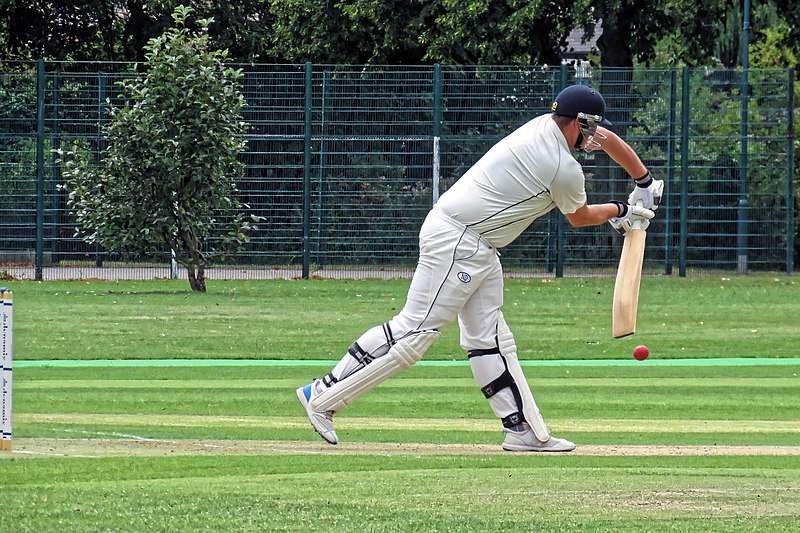 File:Sandwich Town CC v. MCC at Sandwich, Kent, England 55.jpg