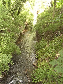 Sarre in Wanzleben at Wanzleben Castle