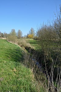 Schleswig-Holstein, Rantrum, Naturerlebnisraum NIK 4931.jpg