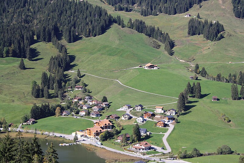 File:Schwarzsee (Plaffeien) 3362.jpg