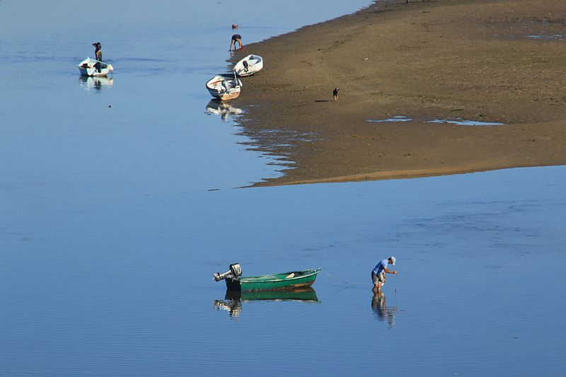 File:Searching for clams (15164106630).jpg