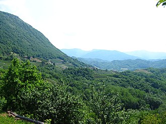 Vineyards in the Ramandolo region where Verduzzo is grown Sedilis and Ramandolo.jpg