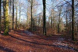 Intersecție ascuțită a mai multor trasee în Parc Naturel de Gaume, Florenville (DSCF7245) .jpg