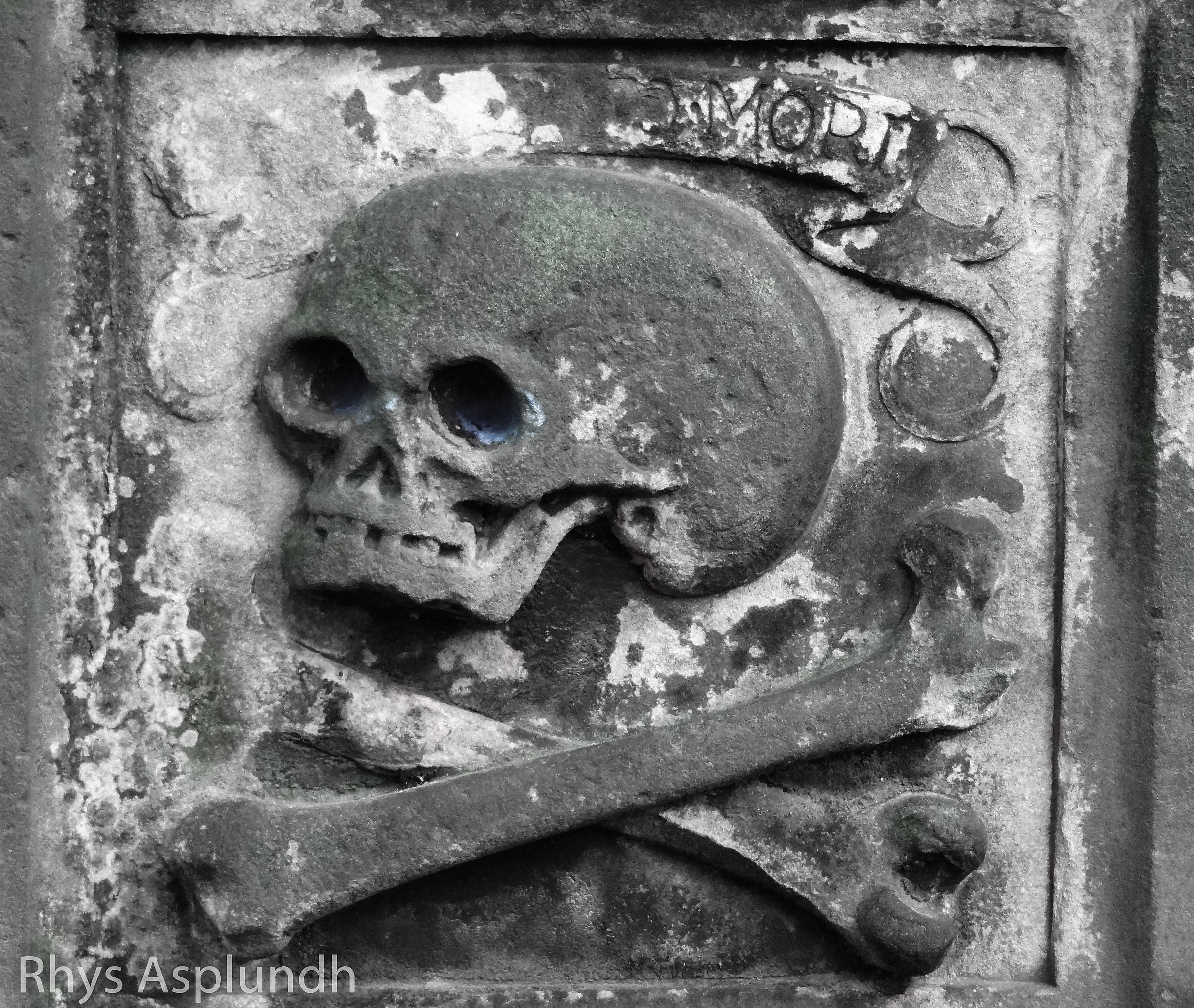 Skull and Bones, Skull & Bones Wiki