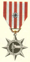 Special Service Medal (South Vietnam).png